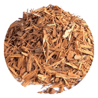 Catuaba Bark Extract