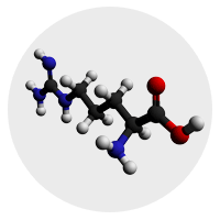 L-Arginine Molecule