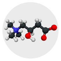 L-Carnitine Amino Acid