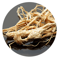 Korean Red Ginseng Extract