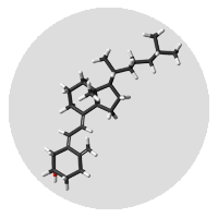 Vitamin E Molecule