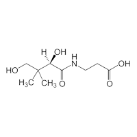 Pantothenic-Acid