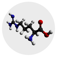 L-Arginine Molecule