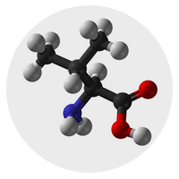 Colostrum