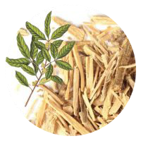 Natural ingredients used in Erectin for erectile dysfunction support