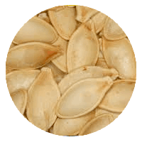 Pumpkin Seed