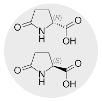 L-Pyroglutamate