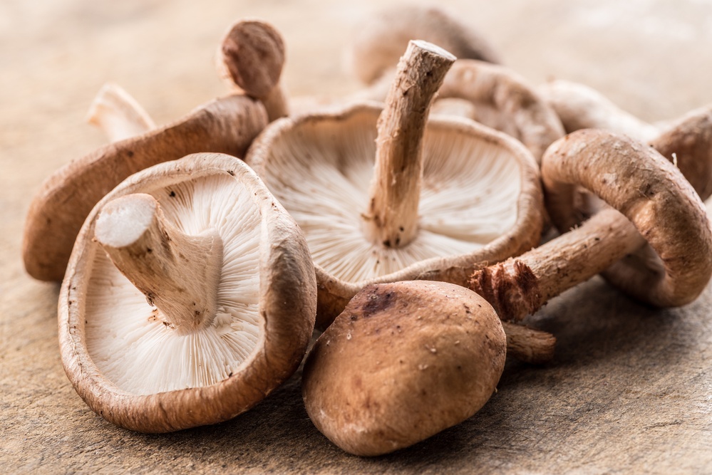 Mushroom Health Benefits: Do They Really Help Immunity?