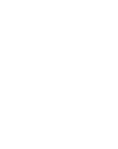 Liposomal NMN