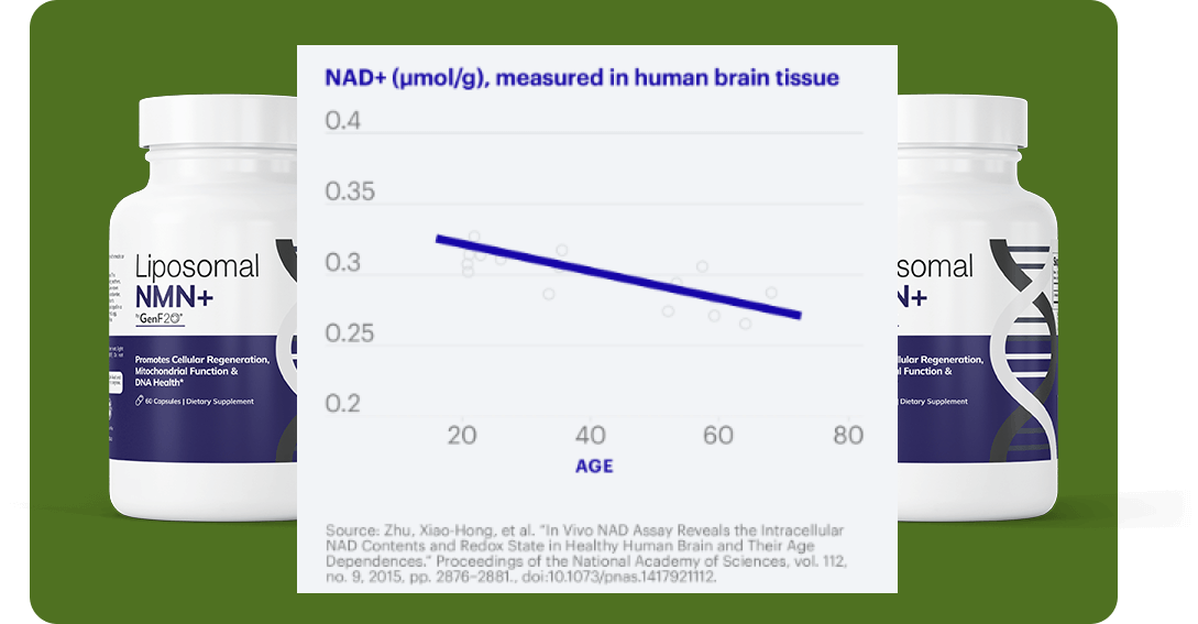 NAD+ measured in human brain tissue