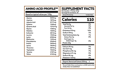 Whey Protein 