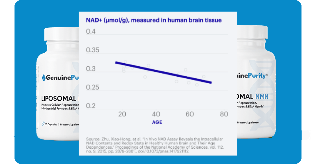 NAD+ measured in human brain tissue