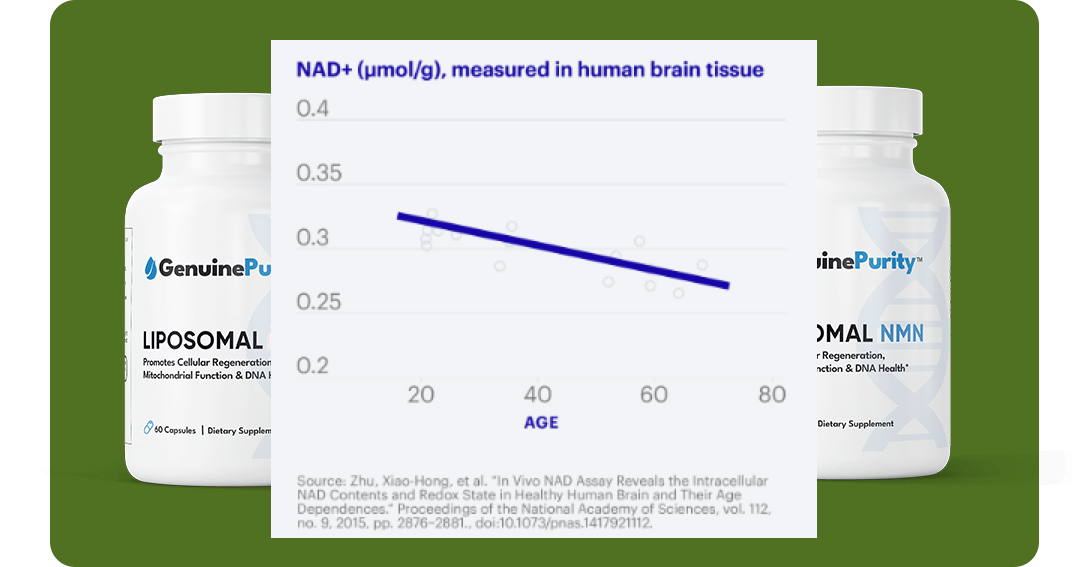 NAD+ measured in human brain tissue
