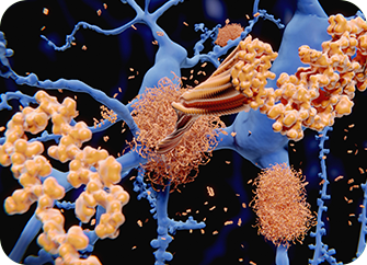 Anti-Amyloid Characteristics