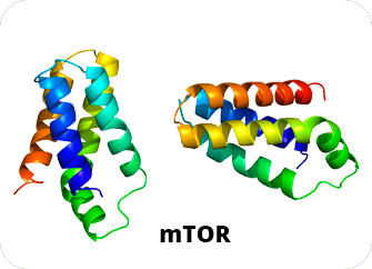 Modulates Principal Signaling Pathways