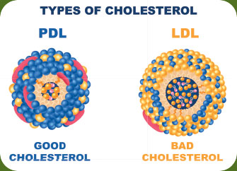 Types of Cholesterol