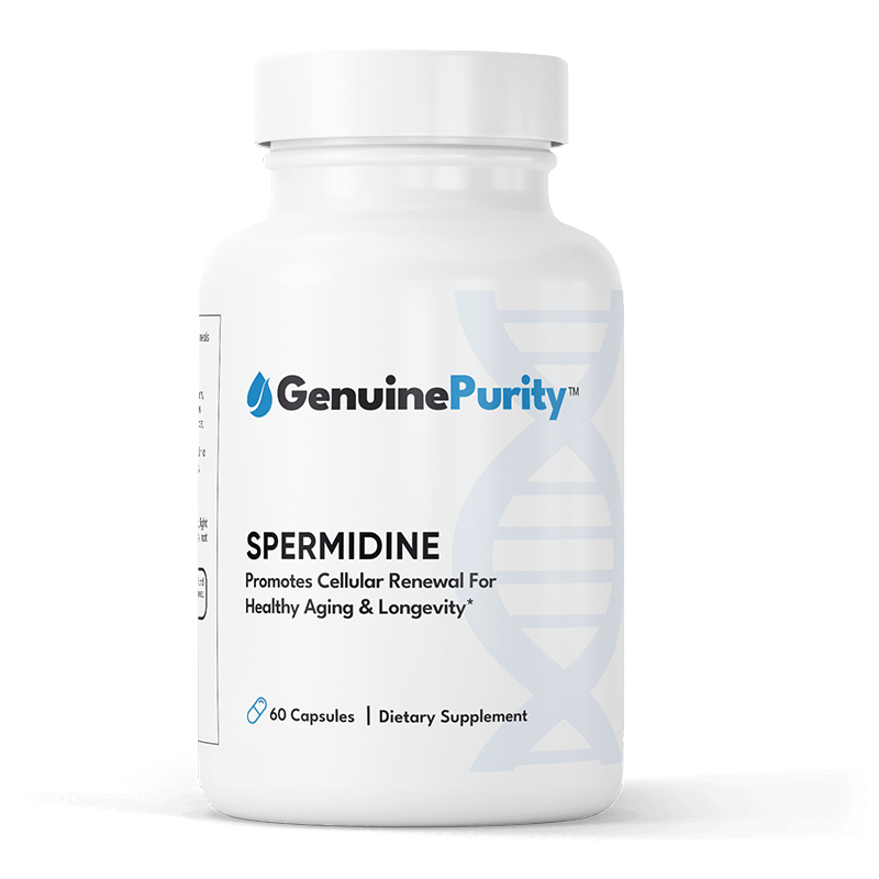 Spermidine