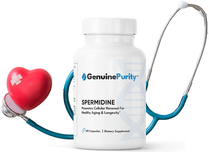 Spermidine