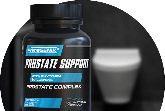 Prostate Support