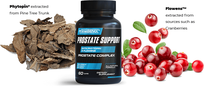 Prostate Support