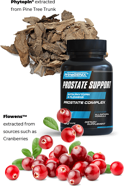 Prostate Support