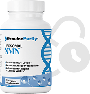 Liposomal NMN