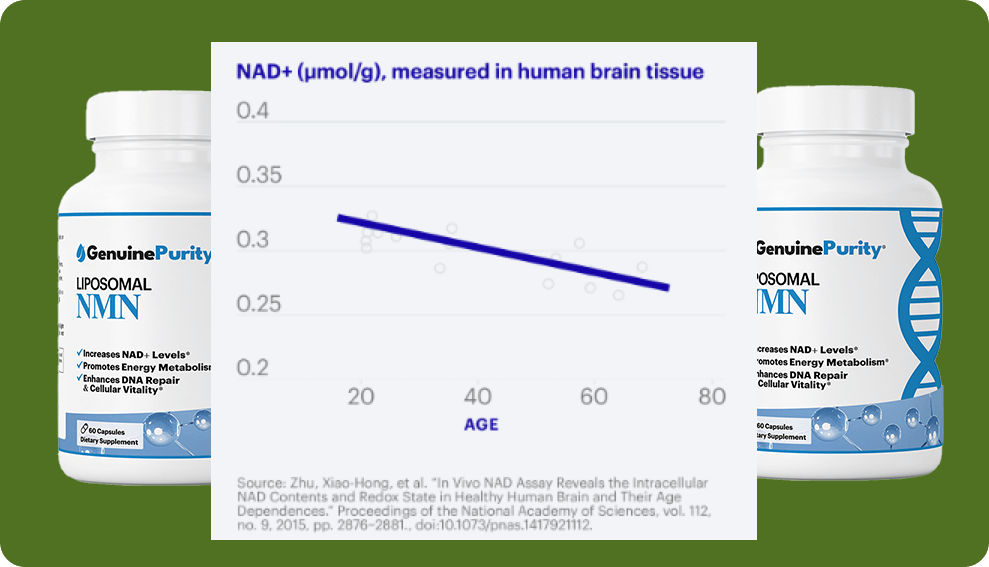 NAD+ measured in human brain tissue