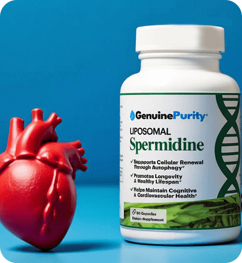 Spermidine