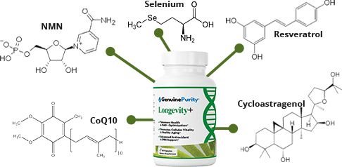 Longevity+ with molecules