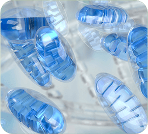 GenuinePurity Berberine