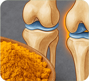 GenuinePurity Turmeric