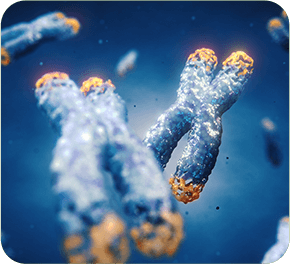 GenuinePurity Turmeric