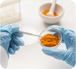 GenuinePurity Turmeric