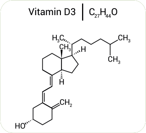 GenuinePurity Vitamin K2 + D3 Molecule
