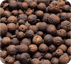 GenuinePurity Vitamin K2 + D3 Molecule