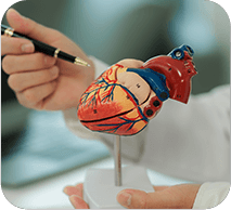 GenuinePurity Vitamin D3 + K2 supports Cardiovascular & Arterial Support