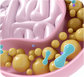 GenuinePurity Probiotic-60