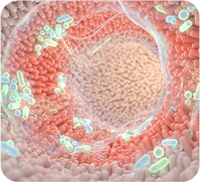 GenuinePurity Probiotic-60