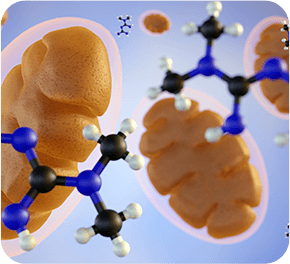 GenuinePurity Probiotic-60