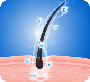 PrimeGENIX DHT Balance