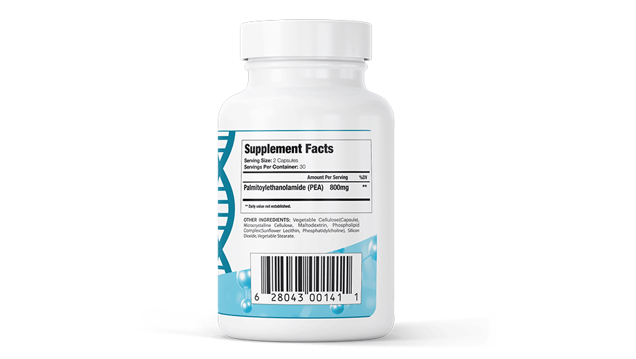 Liposomal PEA