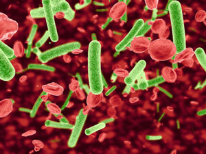 What is C Diff? Hint: It’s Ugly